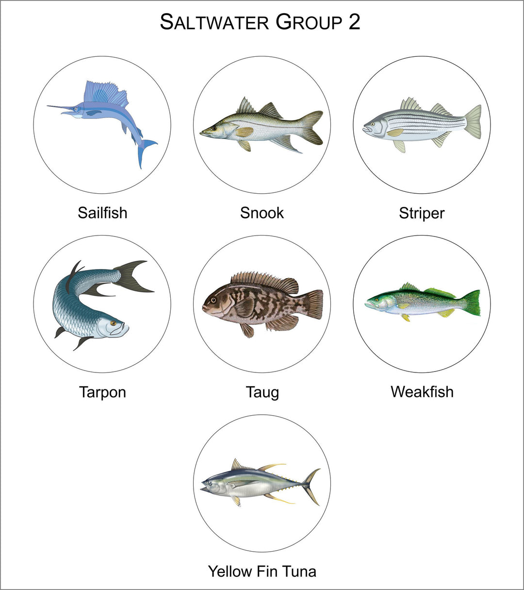 Fish Logo Medal-Trophies-Schoppy&