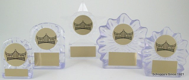 Small Ice Trophy with Crown Logo-Trophies-Schoppy&