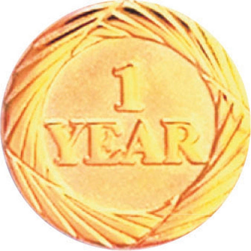 Years of Service Pin - One Year-Pin-Schoppy&