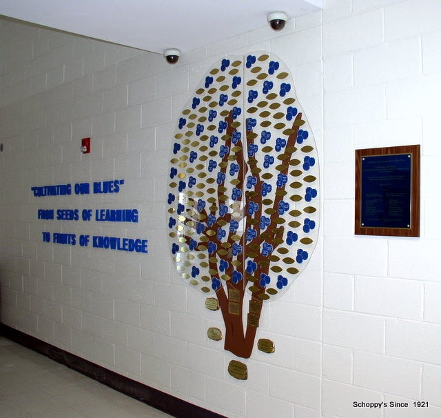 Blueberry Bush Donor Wall-Donor Project-Schoppy&