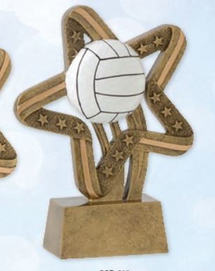 Volleyball Stars And Stripes Resin Trophy-Resin-Schoppy's Since 1921